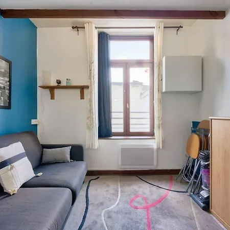 Cosy Studio A Prox Du Musee D'histoire Naturelle Apartment Lille